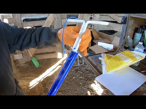 It's Breeding Season! Day 1 - Inserting CIDRs