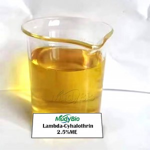 [Hot Item] Lambda-Cyhalothrin 2.5% 5% Me Vegetable Plutella Xylostella Cabbage Caterpillar Borer Moth Insecticide Pesticide