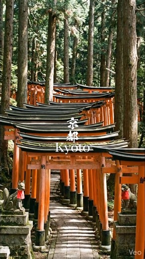 Japan Ichiban Tours | Japan 🇯🇵✨ — a perfect blend of ancient traditions, breathtaking nature, and futuristic city life. 📸 Instagram: @japan_ichiban_tours 📞... | Instagram