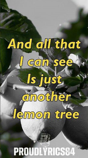 Fool's Garden | Lemon Tree | Lyrics