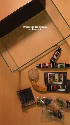 Fish Fuse on Instagram: "New planted tank setup!  . . . Plants used- Easy - HYGROPHILA Difformis, polysperma, Saggitaria subulata, Bacopa caroliniana, Anubias, Java fern, Java moss Medium - Ludwigia Palustris, Rotala green, bacopa yellow flame Hard - Rotala hi red . . . What do you think about this setup? How will it turn out? Do let me know in the comments  . . . #aquarium #reels #fish #plants #aquascape #plantedtank #fyp #aquaticplants #experiment"