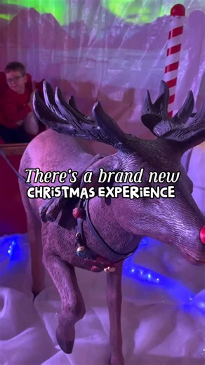 🙋🏼‍♀️Hayley Bell | Your guide to the North West with kids on Instagram: "FIRST LOOK 👀 ✨✨ . . EARLY BIRD BOOKING ENDS TODAY!! There’s a brand new Christmas experience in Altrincham from our friends at @thehideawaypartington and here’s why we love it ⬇️ ✨All profits go into helping local families! What’s not to love about that!? ✨The 8 themed zones are perfect for exploring at your own pace. Each has something different to do from making lanterns in narnia to decorating biscuits in the gingerbr