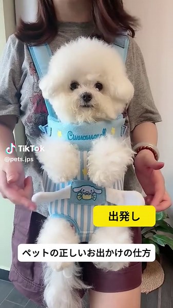 ペット外出四足バッグ#ペット用品 #可愛い #良いものを共有す #犬のいる生活 #犬動画