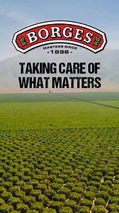 90 reactions | ملتزون بمسؤوليتنا تجاه الطبيعية والأجيال القادمة! بورجيس - المعني الحقيقي للحفاظ على البيئة والاستدامة ! The core values that Borges Brand stands by are Healthy Living, Sustainable Agriculture, Energy Conservation and Recycling and reducing waste. In short, bring the Healthy Meditarranean way of life to your dining table ! | Borges Middle East | Facebook