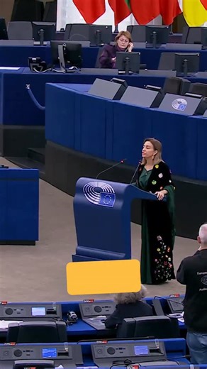 Those who defended us against ISIS must now be defended! @evinincir After weeks of fighting, the crackdown on the Kurdish-led region of Rojava has paused — but the ceasefire is still fragile. The European Union must press the Syrian transitional government to guarantee the collective rights of Kurds and all communities in northeast Syria. #rojava #kurdistan #syria | Socialists and Democrats Group in the European Parliament