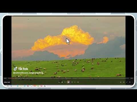 MarkeeAI – Google OAuth App Verification Demo YouTube, Search Console, Google Analytics