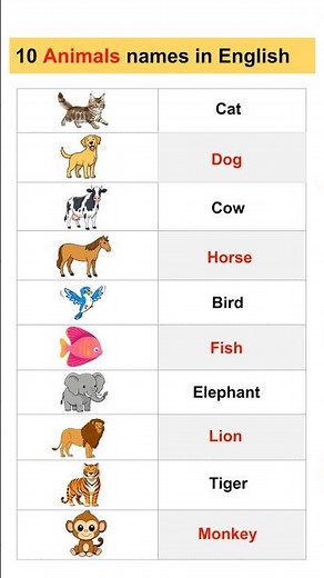 10 Animals Names 🐶 | Learn Animal Vocabulary for Kids #Shorts