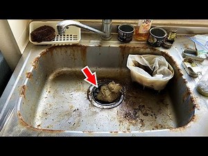A lot of bugs came out of the kitchen drain.