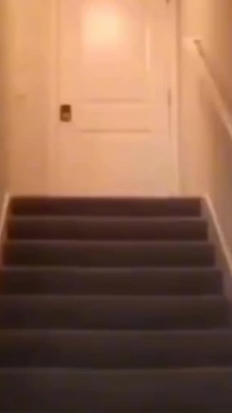 ♡ #t3ddyyyyyy #memes #humor #t3ddyyoutube #youtubers #t3ddy #t3ddycareca @Lucas Olioti