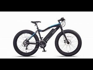 NCM Aspen Electric FAT BIKE Riding Footage