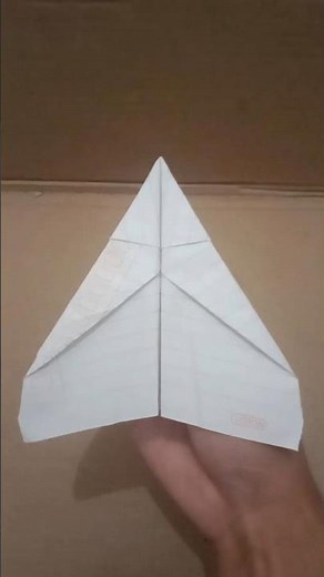 how to make a bird paper plane #diy #tips