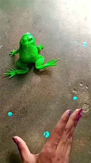 Funny frogs Catching |Wep wep catching frogsfunny |boing catch frogs make you laugh #shortsfeed
