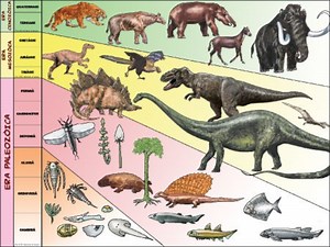 Puzzle de Evolucion de especies , rompecabezas de