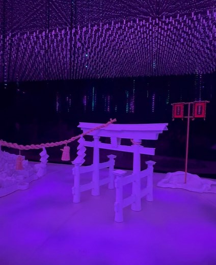 Pieter Tokyolatiina on Reels