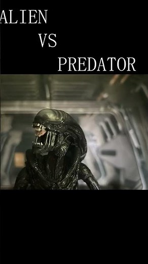 Alien VS PREDATOR :ROMULUS