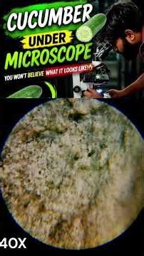 cucumber under microscope beautiful#microscope#scienceexperiment#science#trending#shorts#reels#viral