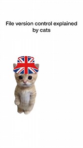 Cats explain file versioning. | LucidLink