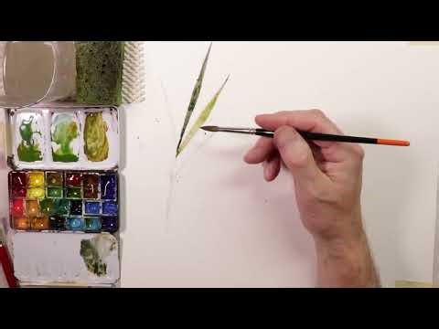 STUNNING WATERCOLOR Practice Techniques for FLOWER PAINTINGS! with Chris Petri