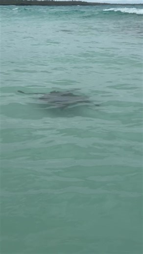 Jonathan W. Lines on Reels | Facebook