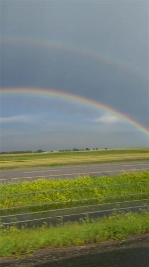 Irish Spring (@irish.spring82)’s videos with Over the Rainbow (Radio Version) - Hawaii Feeling