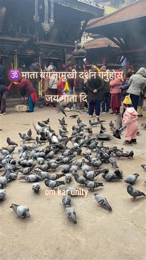 🌼 शक्तिकी स्वरूप माता बंगलामुखीको दिव्य दर्शन गर्नुहोस्। सबैको रक्षा गरून्, संकटहरू टारून् र विजय प्रदान गरून्। 🙏 For more spiritual information, follow Omkar Unity. 🙏 #MaaBaglamukhi #Bhakti #SanatanDharma #DailyDarshan #PositiveVibes 🙏