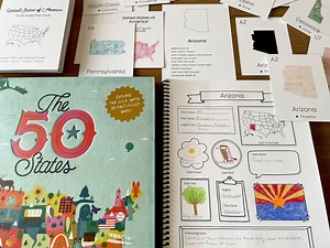 USA 50 States and State Capitals, 50 States of USA Research Journal, 50 USA States Flashcards, Geography Worksheets, Homeschool Learning - Etsy