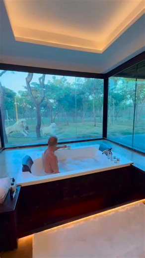 Farid Hobeiche on Instagram: "Amazing experience 😍"