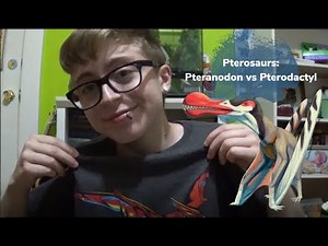 Pterosaurs: Pteranodon vs Pterodactyl
