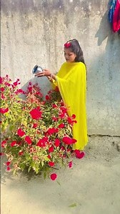 फुलवा मैंगनी फलवा मैंगनी जलवा चढ़ाऊंनी ये गुरु 🕉️🛕