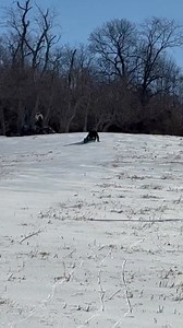 Watch: I went sledding for the first time in 25 years. It’s almost too dangerous to sled. It’s solid ice. I went almost wipeout! 😆 🛷 | Josh Fitzpatrick