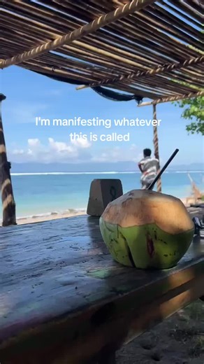 Dreaming of Paradise: Surf Life and Manifestation