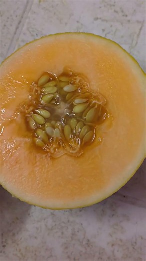 பழங்களை எடுத்துகொள்ளும் விதத்தில் தான் ..... | Muskmelon| முலாம்பழம் #fruit #muskmelon