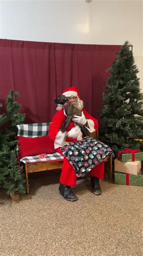 16K views · 256 reactions | Lucas County Pit Crew on Reels | Facebook