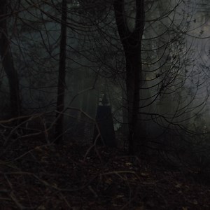 2.6M views · 670 reactions | Prepare to be scared. Stream new horror & thriller movies, including Paranormal Activity: Next of Kin on 10/29, on Paramount+ | Paramount+ | Facebook