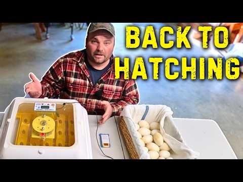 First Time Incubating Goose Eggs in Years – Let the Hatch Begin! (Day 10 Candling)