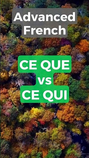 Advanced French - CE QUE vs CE QUI #shorts