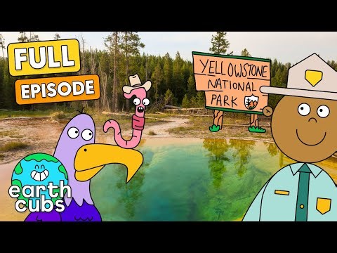 Earth Cubs: Protecting Parks! 🌱⛰️ | Compilation Cartoons for Kids