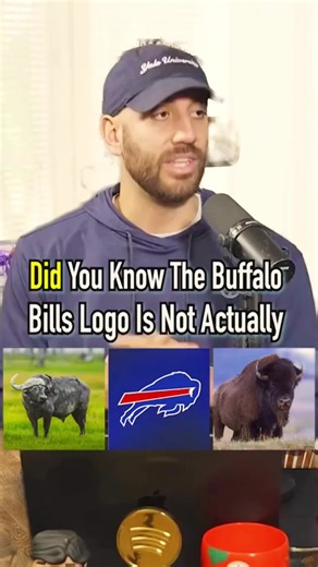 The Truth Behind the Buffalo Bills Logo