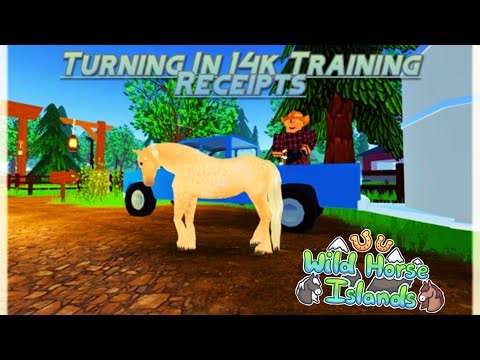 Turning In 14k Training Receipts | Wild Horse Islands #wildhorseislands