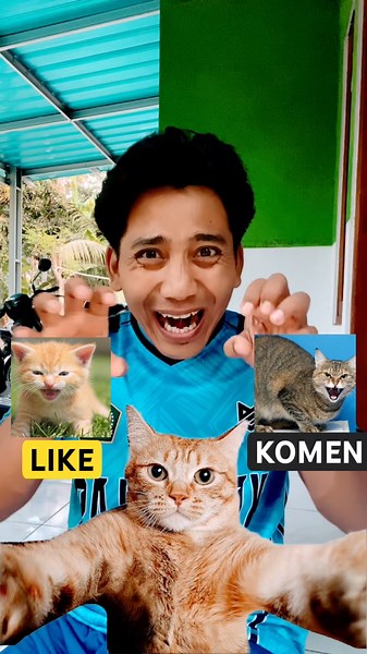 Cat sounds #funny #funnyvideo #memes #shorts