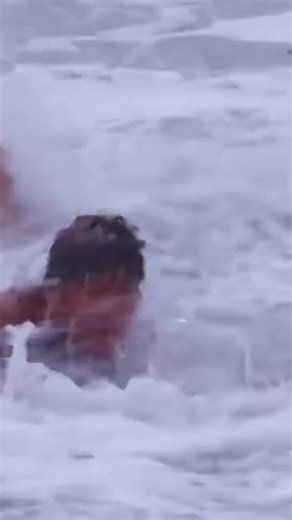 Baywatch vs Bondi Rescue: Lifeguards' Perspectives