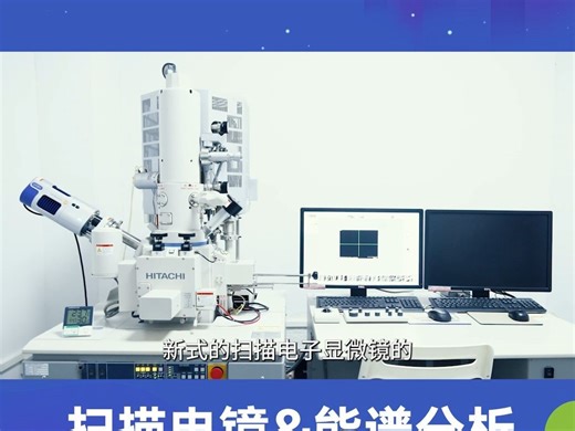 扫描电镜&能谱（SEM&EDS）分析