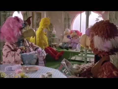 Sesame Street Follow That Bird Big Bird Runs Away