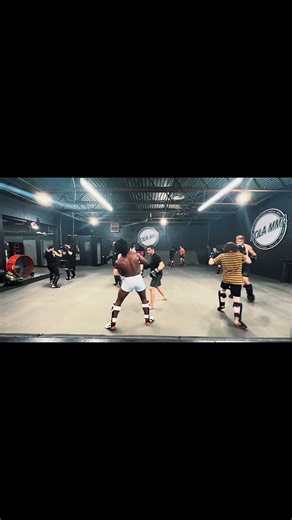 Boxing w/ Bo 🥊#herosjourney #martialarts #warrior #mma #boxing