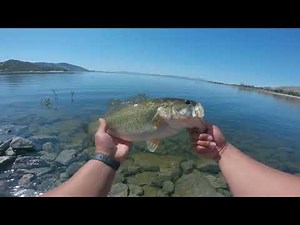 Bank fishing from Lake Perris!
