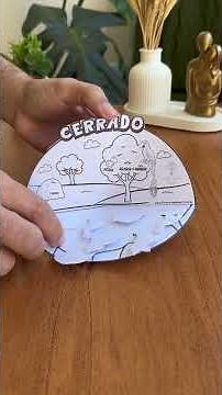 Brazilian biomes #science #diy #biomes