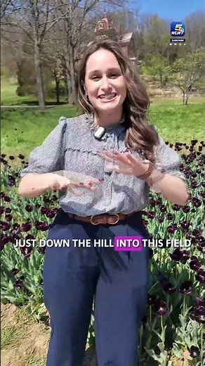 Celebrity tattoo artist Kat Von D plants 15,000 black tulips next to her Indiana home
