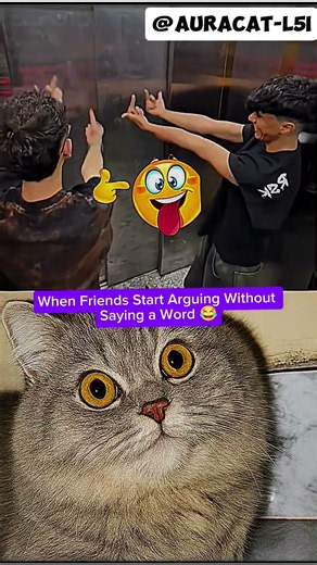 When the elevator becomes a sign-language battlefield#cat #jumpstyle #trend