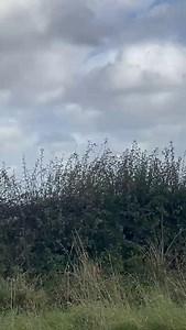 This afternoons easyJet flight from Palma to Belfast International was forced to abort it's original landing due to Storm Ashley. The flight eventually landed safely. 🎥Jacob Bushe | Belfast Live