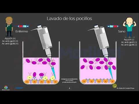 🔴 ELISA SANDWICH TEST FOR HIV DIAGNOSIS 🔬STEP-BY-STEP EXPLANATION)